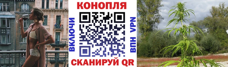 Бошки марихуана THC 21%  Купить  Баксан 